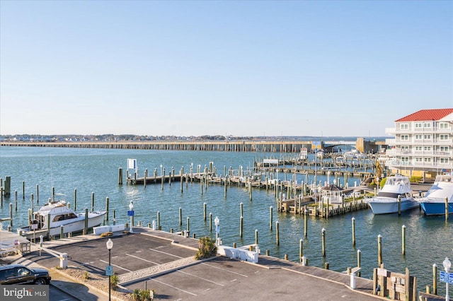 dock area featuring a water view