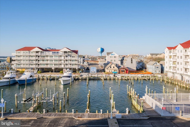 water view featuring a boat dock