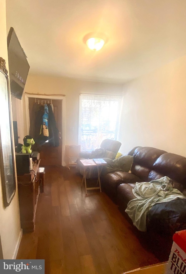 living room featuring dark hardwood / wood-style flooring