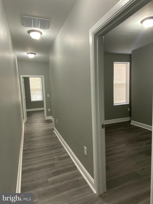 hall featuring dark wood-type flooring