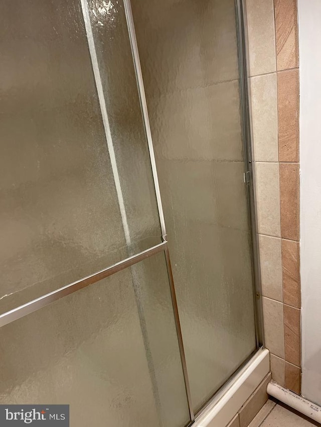 bathroom featuring a shower with door