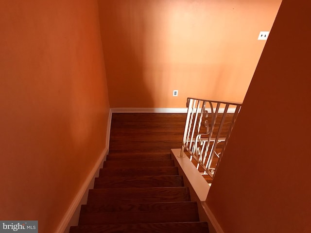 stairway featuring hardwood / wood-style floors