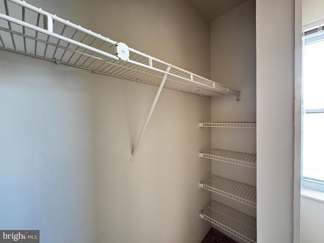 view of spacious closet