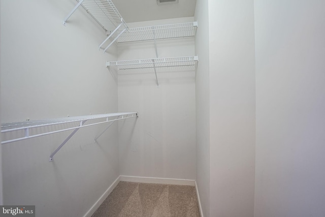 walk in closet with carpet floors