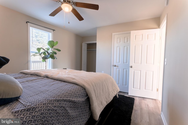 bedroom featuring hardwood / wood-style floors, multiple closets, and ceiling fan