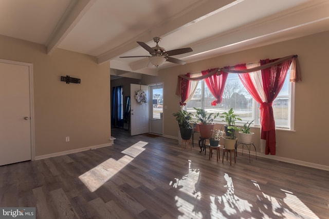 interior space with beam ceiling, dark hardwood / wood-style floors, and ceiling fan