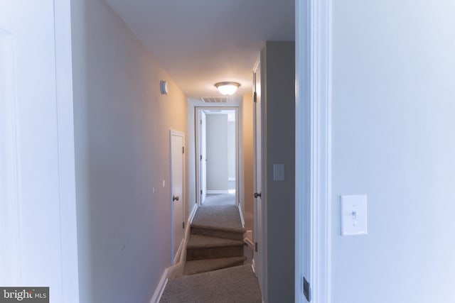 corridor featuring carpet