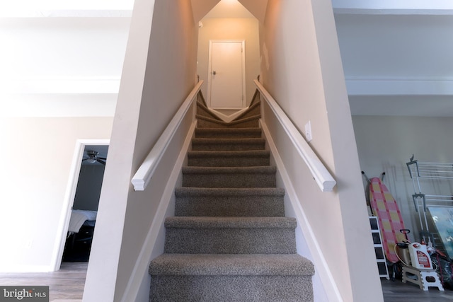 staircase featuring wood-type flooring