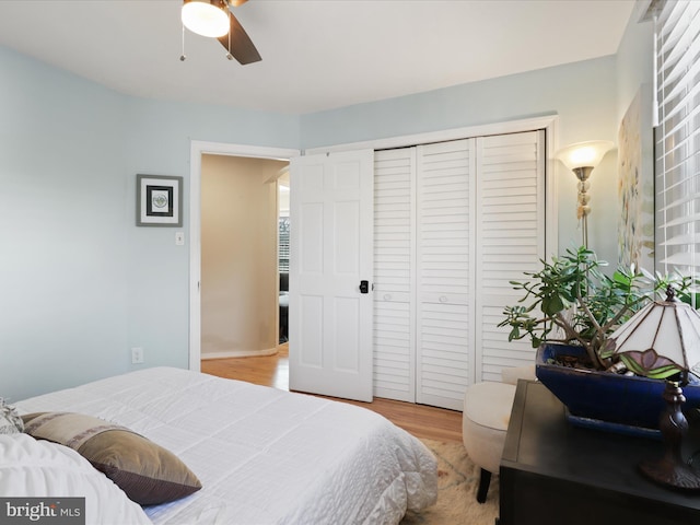 bedroom featuring ceiling fan, light hardwood / wood-style floors, and a closet