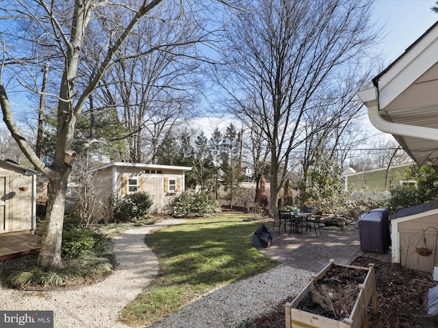 view of yard featuring a patio area and a storage unit