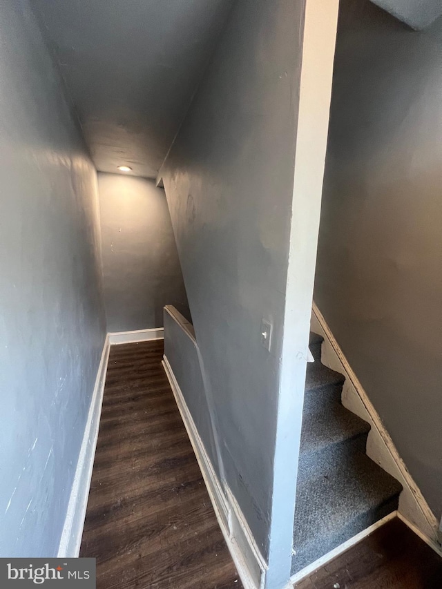 staircase featuring hardwood / wood-style flooring