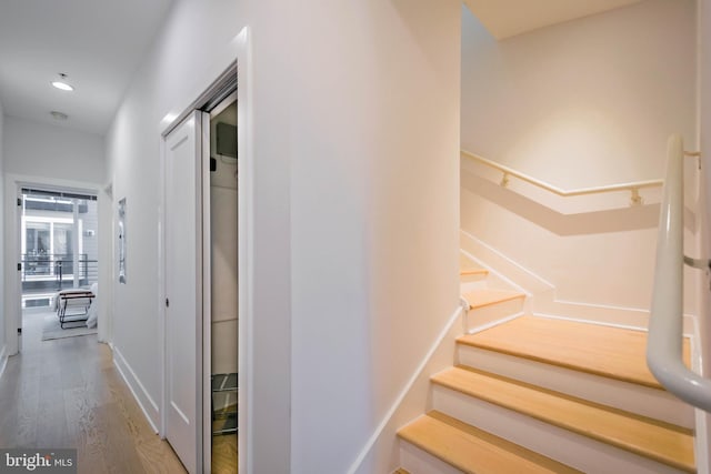 staircase featuring wood-type flooring