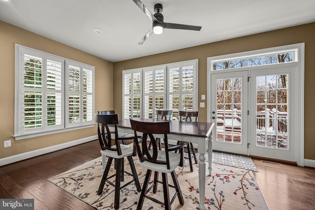 dining space featuring ceiling fan and dark hardwood / wood-style flooring