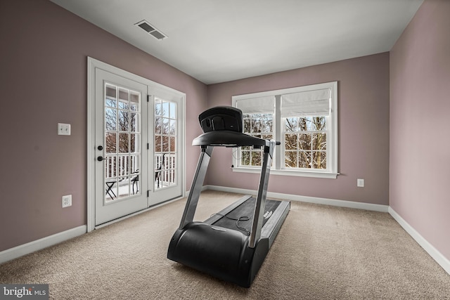 exercise area featuring carpet flooring