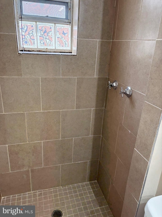 full bathroom with a shower stall and toilet