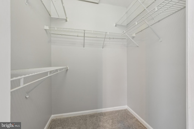 walk in closet with carpet