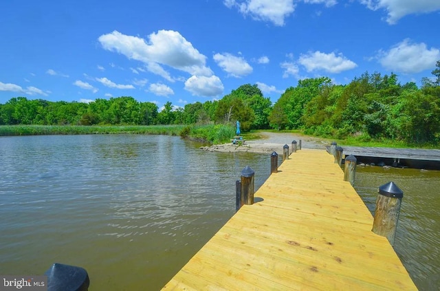 dock area with a water view and a forest view