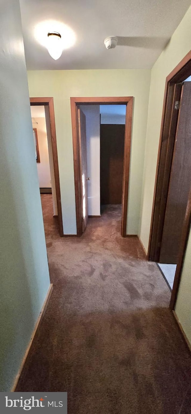 corridor featuring carpet floors