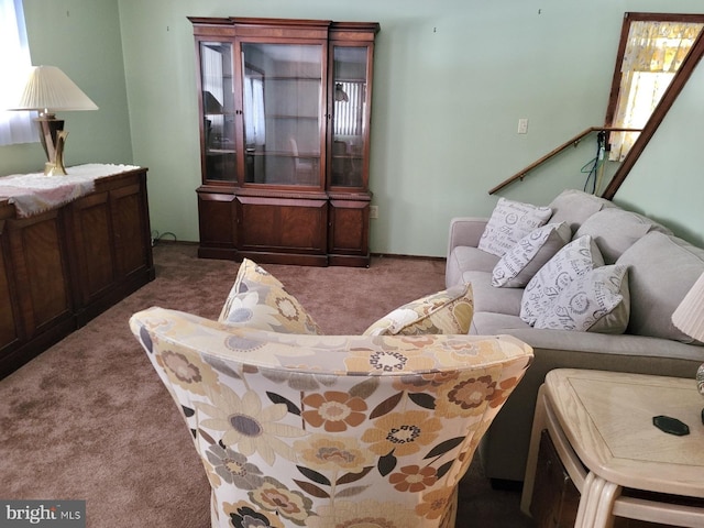 living room featuring carpet flooring