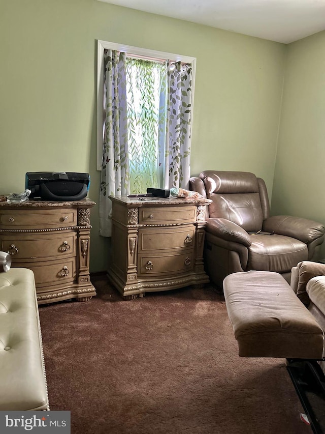 sitting room with dark colored carpet