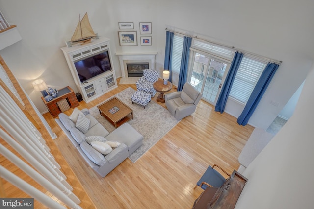 living room featuring hardwood / wood-style floors