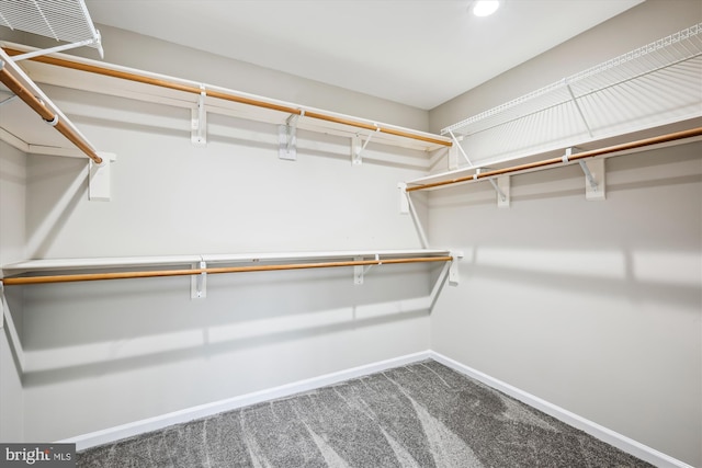 walk in closet featuring carpet flooring