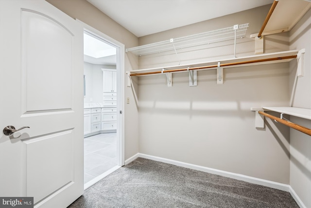 spacious closet with carpet flooring