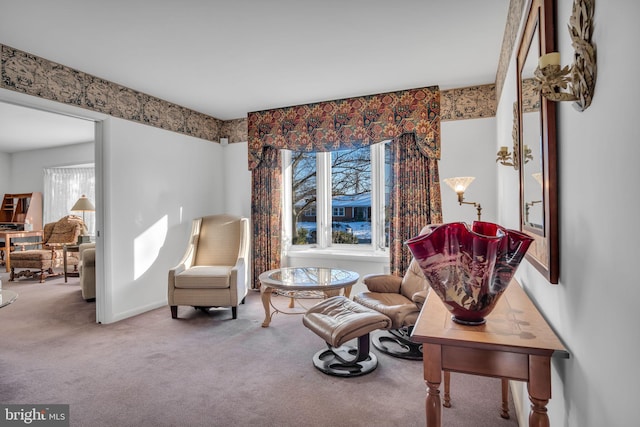 sitting room featuring carpet flooring