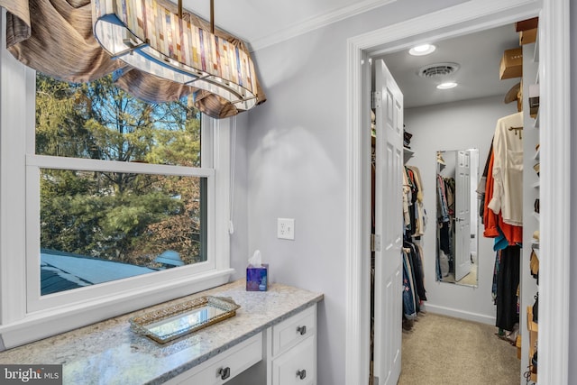 bathroom with crown molding and vanity