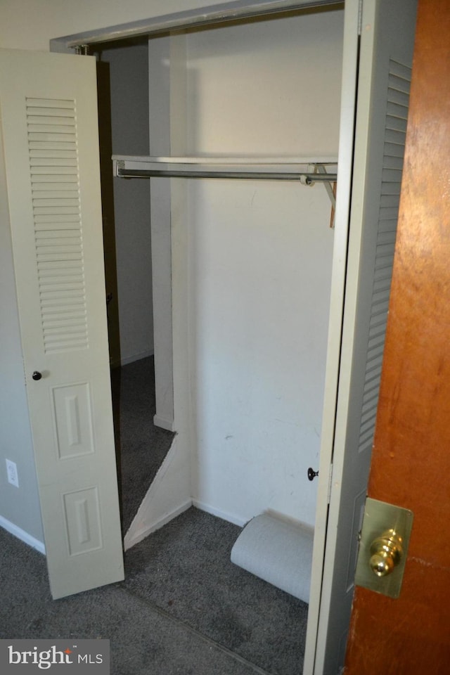 view of closet