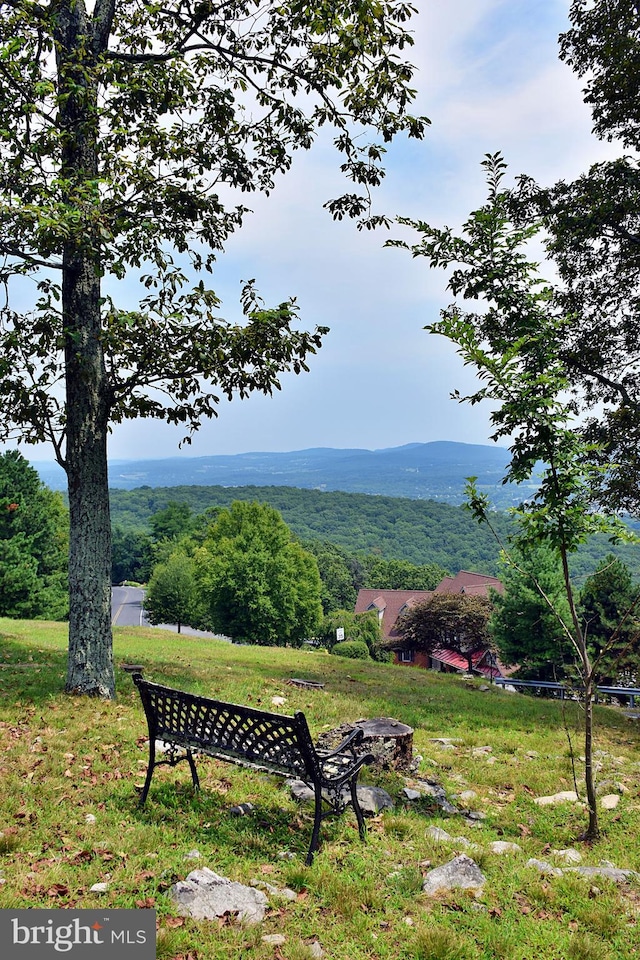 view of mountain feature