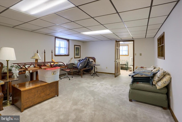 carpeted home office featuring a paneled ceiling