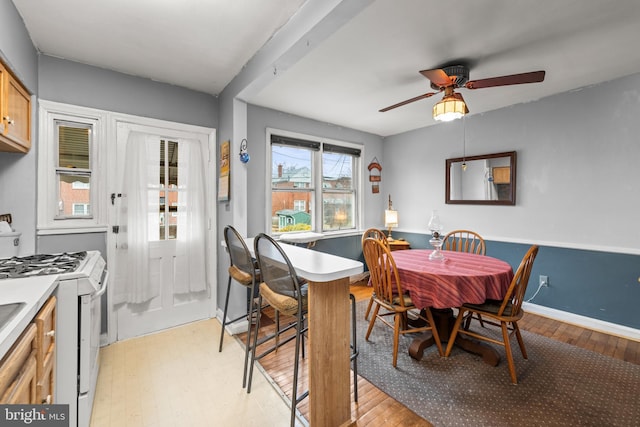 dining space featuring ceiling fan and light hardwood / wood-style flooring