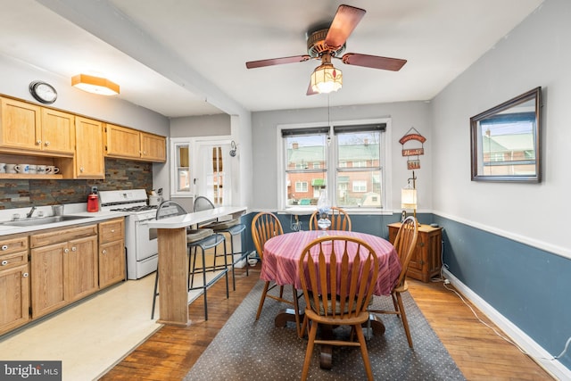 dining area featuring sink, light hardwood / wood-style floors, and ceiling fan