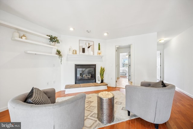 living room featuring hardwood / wood-style flooring