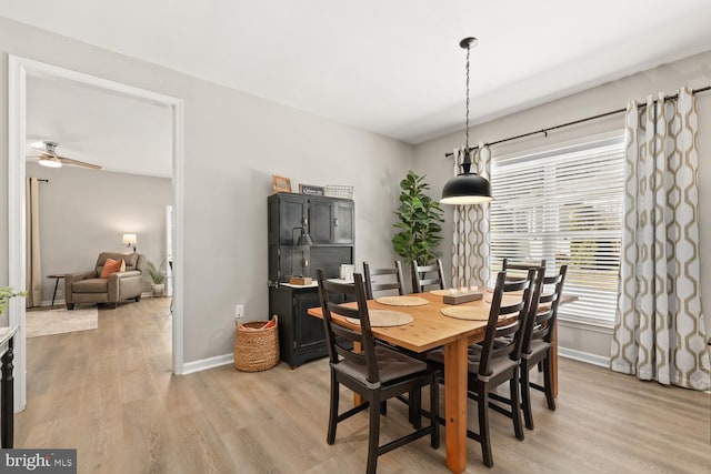 dining area with ceiling fan and light hardwood / wood-style flooring