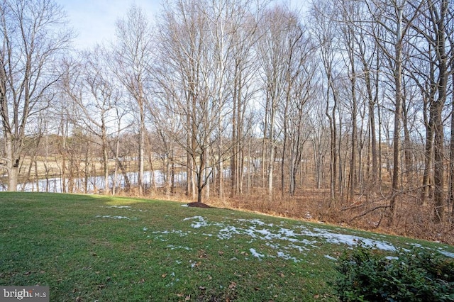 view of yard with a water view