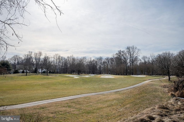 view of property's community with a yard