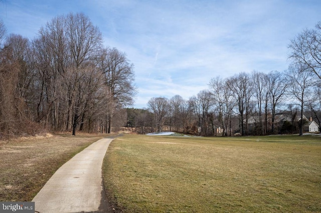 view of community featuring a yard