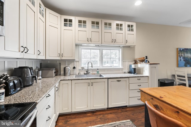 kitchen featuring white cabinetry, sink, light stone counters, and dark hardwood / wood-style floors