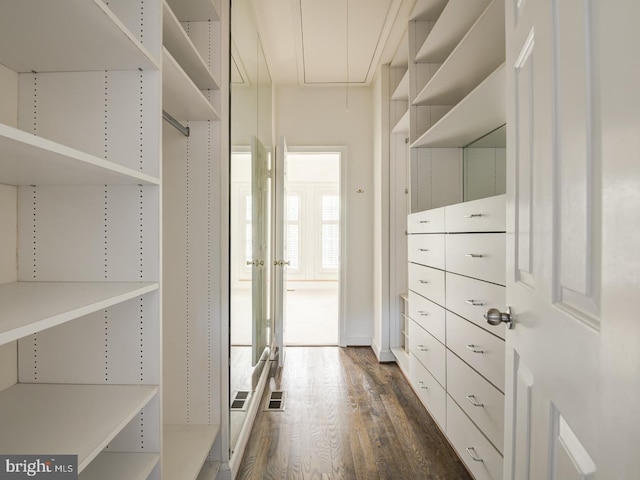 spacious closet featuring dark hardwood / wood-style floors