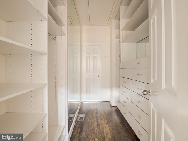 walk in closet featuring dark hardwood / wood-style flooring