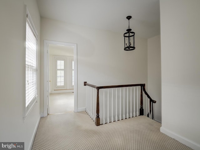 staircase featuring carpet flooring