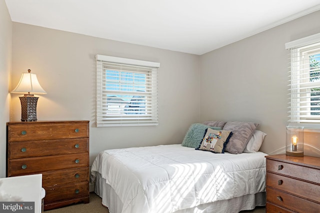 view of carpeted bedroom