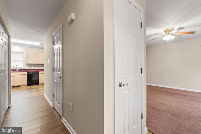 corridor with wood-type flooring and sink