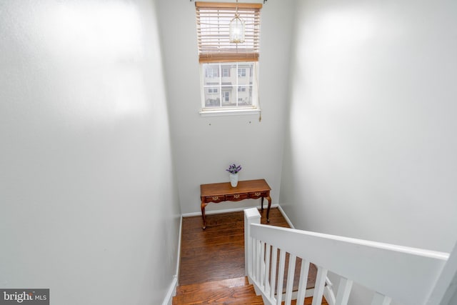 stairs with wood-type flooring