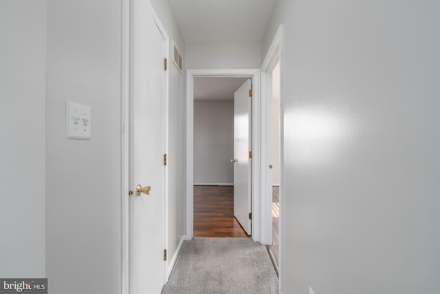 corridor featuring carpet flooring