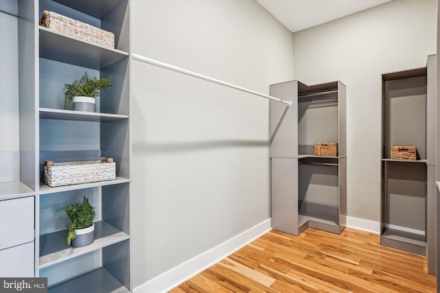 walk in closet featuring wood-type flooring