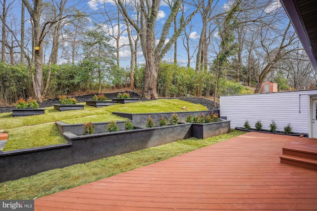 deck featuring a lawn