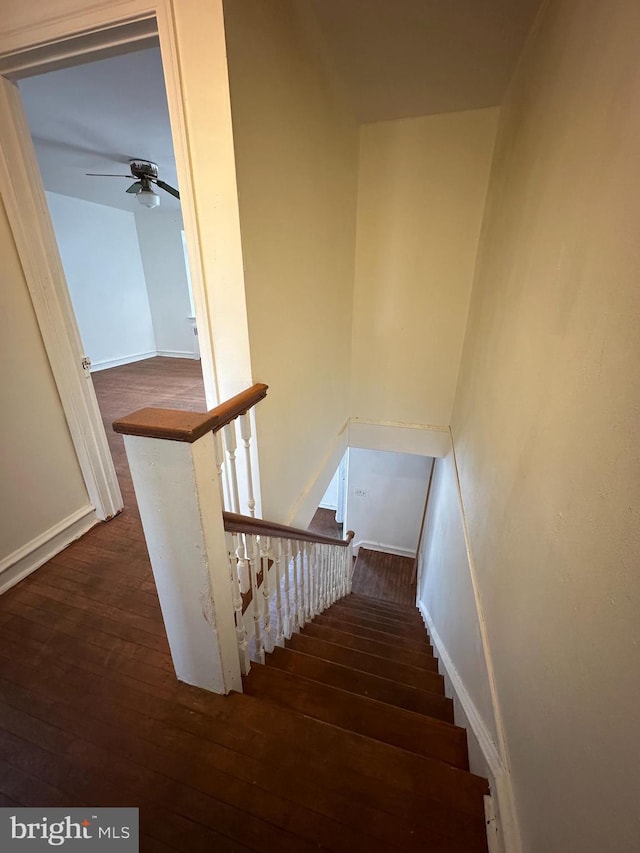 staircase with hardwood / wood-style floors and ceiling fan